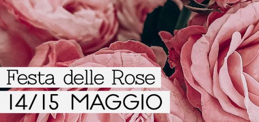 Cover articolo "Festa delle Rose a Venaria Reale"