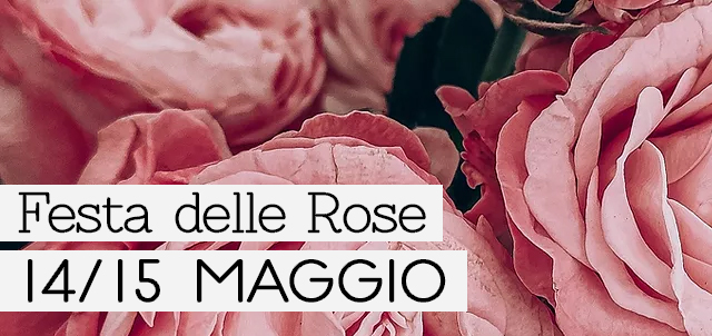 Cover articolo "Festa delle Rose a Venaria Reale"
