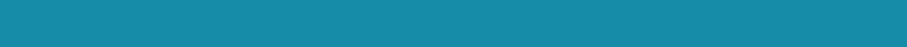 NPL banner blu
