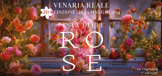 Cover BLOG Festa delle Rose 24